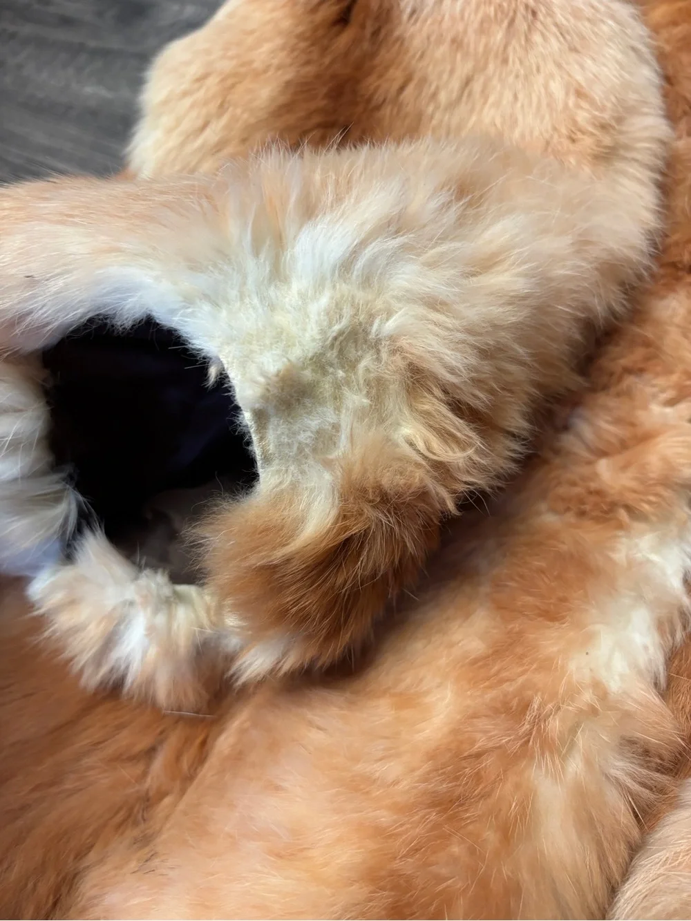 Vtg 70s Pizitz Real Rabbit Fur Caramel Brown Trench Belted Coat Jacket Size XS/S